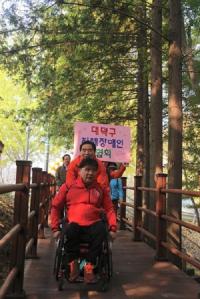 대청호반 숲 무장애 나눔길 조성