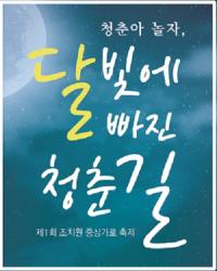 제1회 조치원 중심가로 축제 한마당 열려