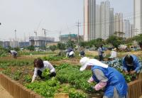 [시흥시정] 시흥시도시농업대학 3개 과정 교육생 공개모집 外