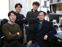 전시각중추 신경 활용해 동물 행동조절 기술 개발