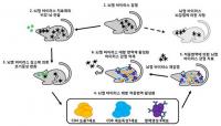 코로 투입하는 뇌염바이러스 치료물질 발견