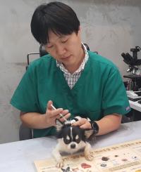 [세종시 브리핑] 세종시 교육청 감사관 공모 外