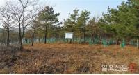 지구온난화 심각...온대중부 산림 쇠퇴 위험 경고