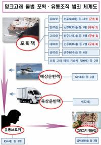 '고래DNA 지우고 작살 숨기고' 밍크고래 불법 포획·유통 일당 무더기 검거