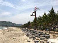 경주 관성솥밭해변 "솔숲 걸으며 바다를 한눈에"