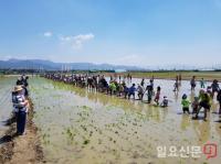 ‘제13회 김해시민과 함께하는 모내기 축제’ 개최