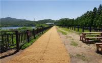 서울대공원, ‘청계저수지 둑방길’ 34년 만에 개방