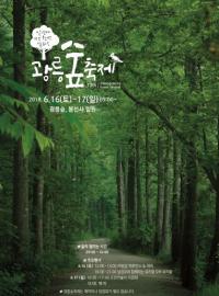 “일 년에 딱 한번 열리는 숲”