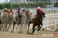 렛츠런파크 부산경남, 7월부터 금요일 야간경마시행