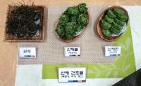 경북농기원, 간편식 산채나물 제조기술 개발
