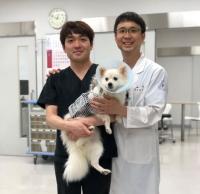 경상대 정동인 교수팀,‘국내 동물용 캡슐내시경’ 환자 적용 첫 성공