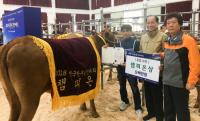 2018 전국한우경진대회서 밀양 박희완 농가 챔피언 수상