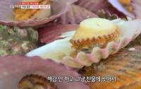 ‘생방송 오늘저녁’ 경남 고성 단풍가리비 밥상, 찜부터 전까지 “바다 품은 맛”