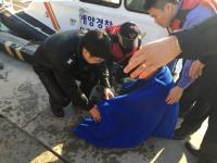 "겨울철 실족 주의하세요" 포항해경, 구룡포항 바다에 빠진 선원 구조