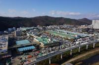 대구농수산물도매시장, 거래금액 ‘1조원 시대’ 눈앞