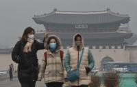 “도로변 거주는 질병과의 동거” 대기오염 현명한 대처법은?