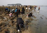 보령 무창포 신비의 바닷길 축제, 대한민국 대표 축제 됐다!