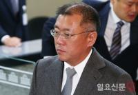 현대차, 엘리엇과 표 대결 승리…정의선 현대차 대표이사 체제