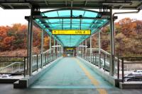 인천교통공사, 인천대공원 ‘벚꽃 임시열차’ 운행...인천2호선 특별 수송대책 마련