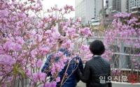 [날씨] 오늘날씨, 목요일 강한 바람에 낮부터 봄날씨 회복…서울 낮 ‘16도’