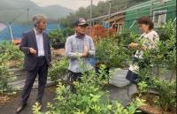 aT, 울주군 블루베리 베트남 초도 수출