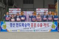 [경산시정] 경산천도복숭아 올해 첫 수출 外
