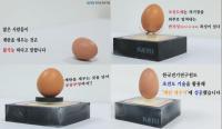한국전기연구원, 세계 최초로 초전도 기술 활용한 계란 세우기 성공