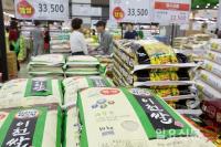 통계청, 올해 쌀 예상생산량 378만 톤 전망…39년 만에 최소치