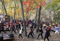 보령시, 제18회 성주산 단풍축제·단풍길 걷기대회 개최