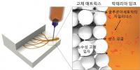 국내연구진, 박테리아 셀룰로오스 3D프린터 인쇄기술 개발