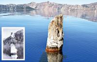 120년 동안 호수 위에 꼿꼿이…미스터리 통나무