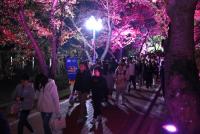 경북관광공사, 11월 '보문호반 힐링걷기 행사' 개최
