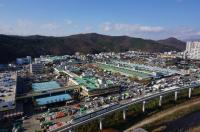 14년 숙원 대구 농수산물도매시장 확장·재건축 본격 추진