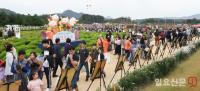 양주 천만송이 천일홍 축제 '경기 대표축제' 선정