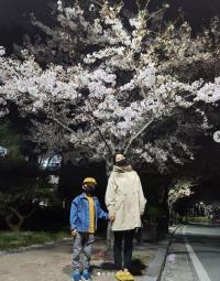 ‘민우혁♥’ 이세미, 둘째 출산 후 근황…아들과 벚나무 아래서 인증샷 “벚꽃엔딩”