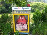 [천안시정] 물놀이 안전관리 특별대책기간 비상대책반 운영 外