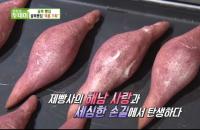 '생방송 투데이' 해남 고구마빵, 정성 가득 손님들이 먼저 알아봐 "발효차로 반죽"