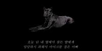 ‘속사포 래퍼’ 아웃사이더, 가오가이 대응 디스곡 ‘늙은 개’ 공개
