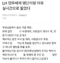LH 땅투기 의혹 “업무배제 직원들 부장 대우, 차장급” 폭로