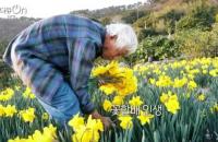 ‘다큐온’ 거제 공곶이 꽃할배의 아름다운 정원, 60년 하나의 꿈 위해 살아