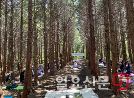 제주산림치유학교는 지난 22일 산림치유 프로그램을 진행하고 있다./사진=제주산림치유학교 제공