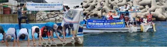 2021년 어린 황복 방류 모습(왼쪽)과 2021년 어린 감성돔 방류 장면.