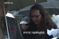 ‘다큐온’ 한국으로 돌아온 6.25 참전용사들, 낯선 땅 다시 찾는 이유는