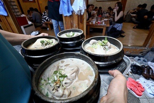 직장인들이 꼽은 최고의 보양식 1위는 삼계탕으로 나타났다. 서울 종로구에 있는 한 삼계탕집. 사진=일요신문DB