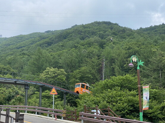 함양산삼항노화엑스포 모노레일 이미지