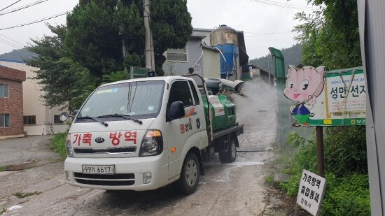 아프리카돼지열병 유입 차단 방역 모습.