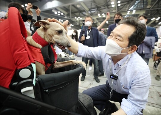 정세균 전 국무총리는 여권 후보 중에서 가장 먼저 동물 복지를 대선 공약으로 발표했다. 사진=연합뉴스