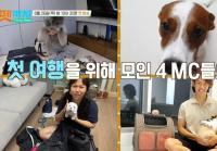 '펫키지' 홍현희, SNS 스타 택배견 '경태'와 울산 여행 "전세기가 있다니"