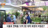 '생방송 오늘저녁' 김포 화훼농원, 구입 금액에 따라 커피 제공 "식물에 진심인 사람들"