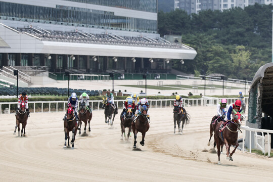 10월 3일 서울과 부산에서 동시에 펼쳐진 올해 첫 대상경주에서 컴플리트밸류와 영광의레전드 우승을 차지했다. 경주 장면으로 기사의 특정 내용과 관련없음. 사진=한국마사회 제공